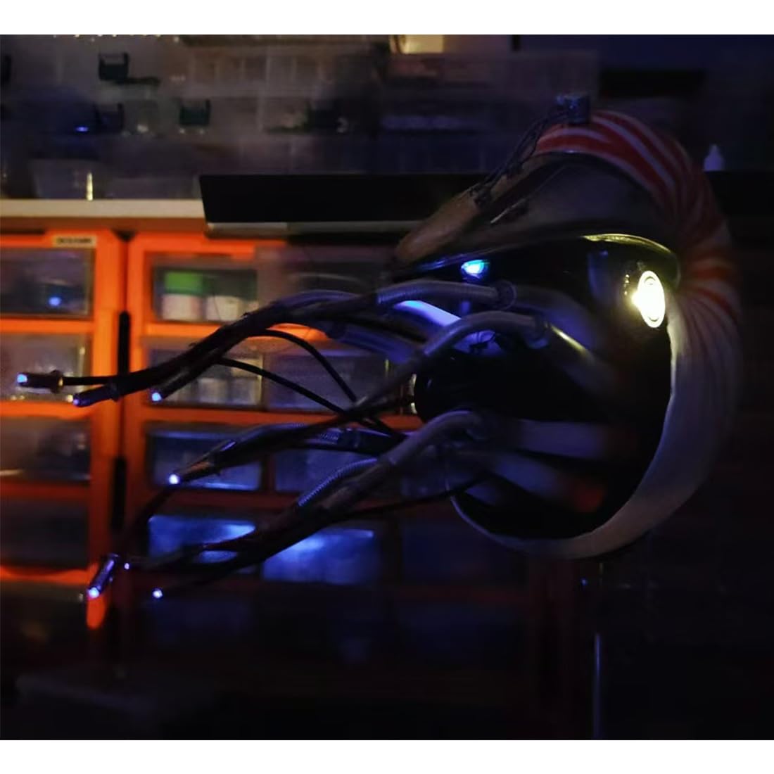 Bionic Beetle Metal Model