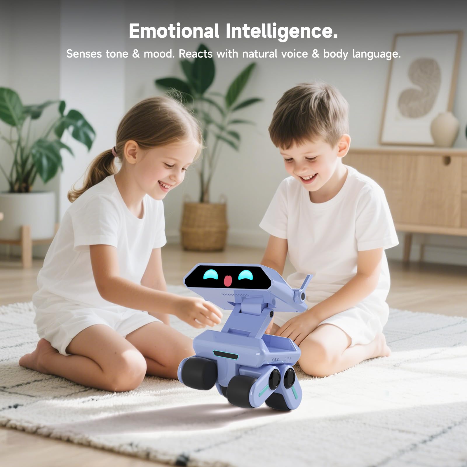 AI Companion Robot