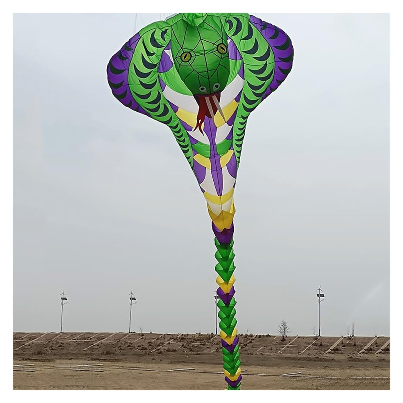 20m Snake Kite