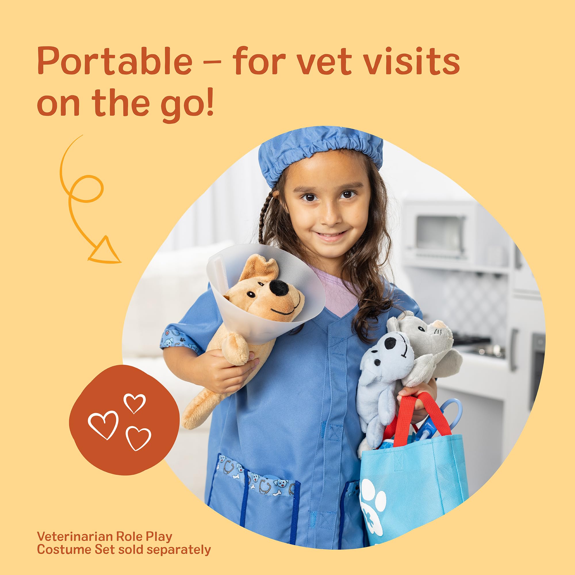 Pet Vet Play Set