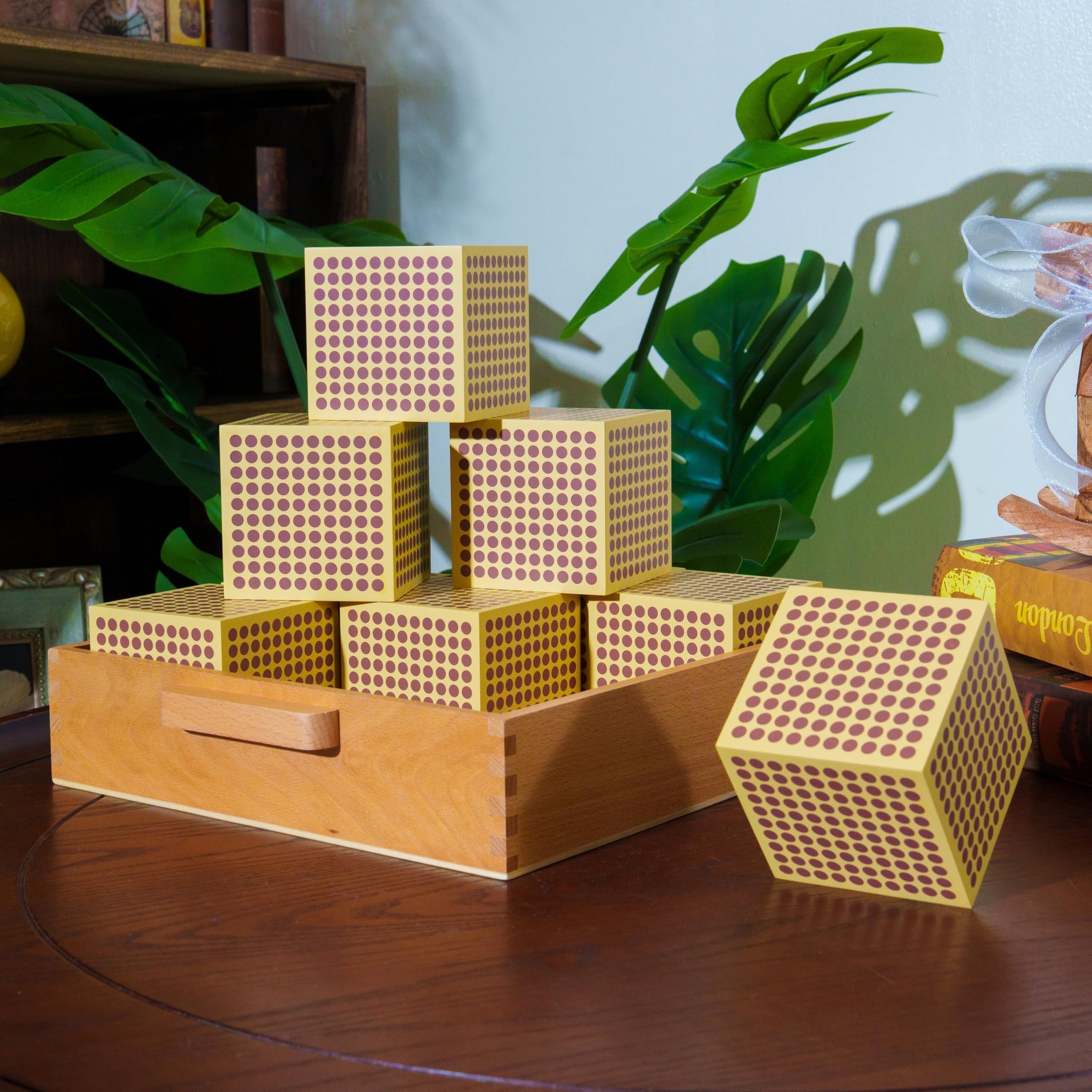 Montessori Learning Materials Set